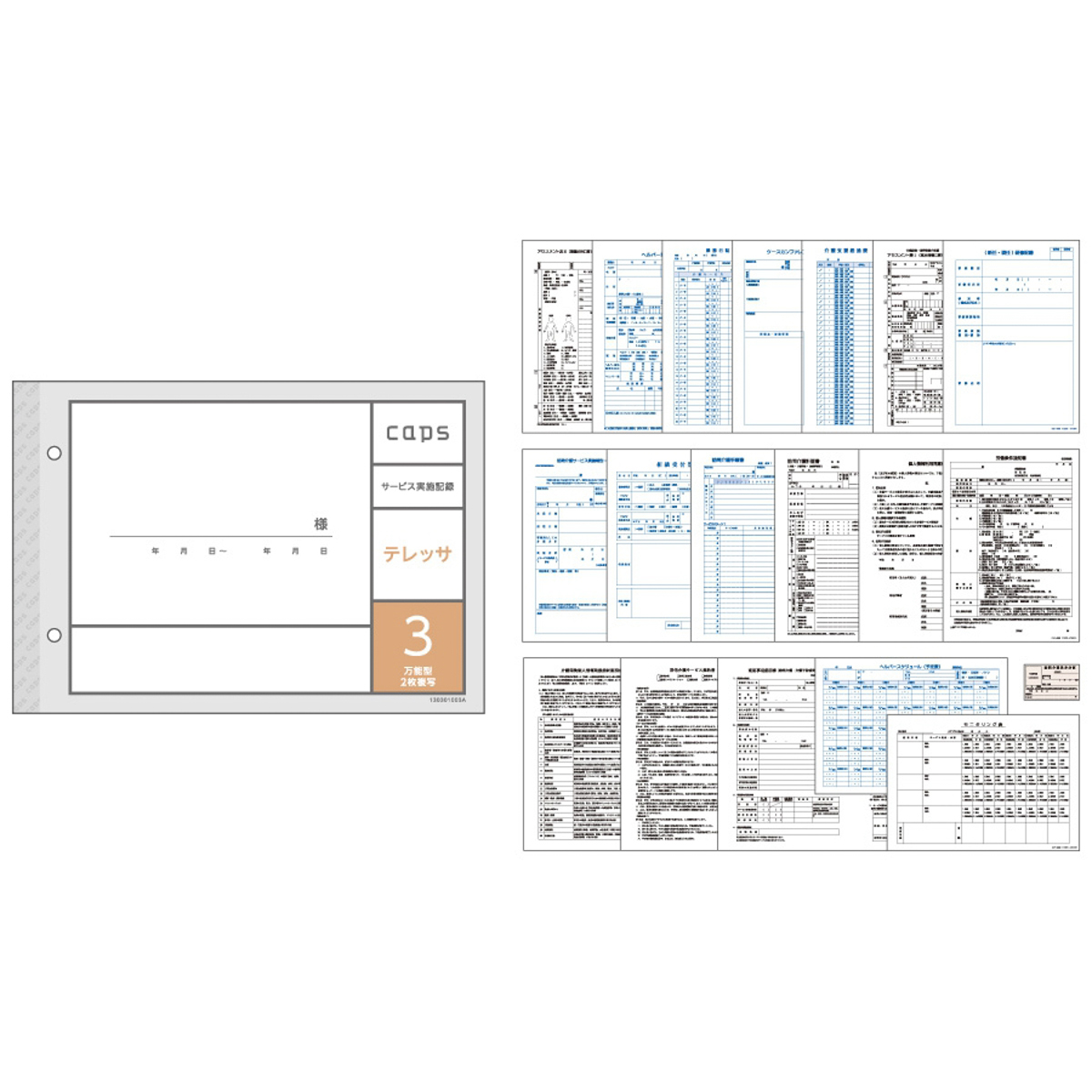 業界No.1 看護 介護 記録 用紙 テレッサ3 サービス実施記録 万能型 A5 100冊セット キャプス